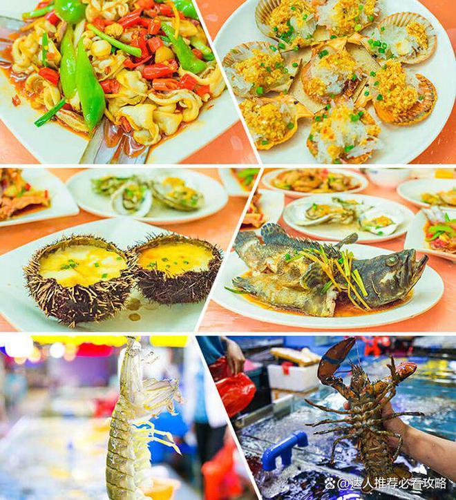 攻略最佳路线去三亚旅游四天价格多少钱马竞合作伙伴带小孩去海南跟团4日游(图3)