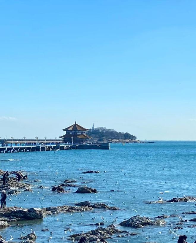 旅游攻略4日游最佳方案 攻略青岛旅游4天要多少钱青岛4